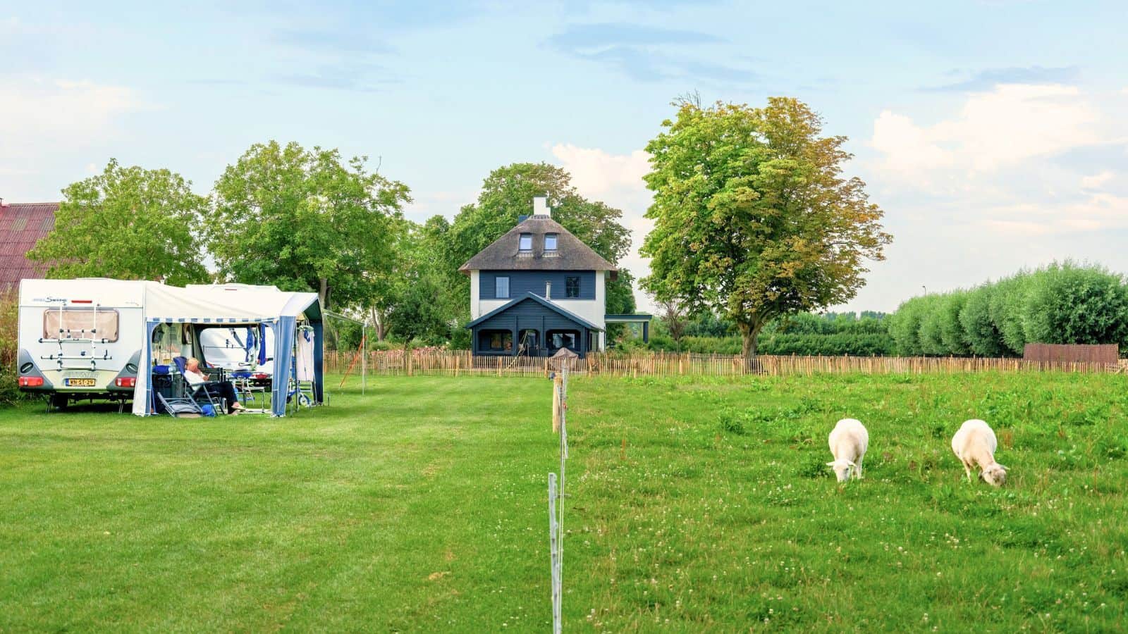 Menschen und Tiere leben zusammen