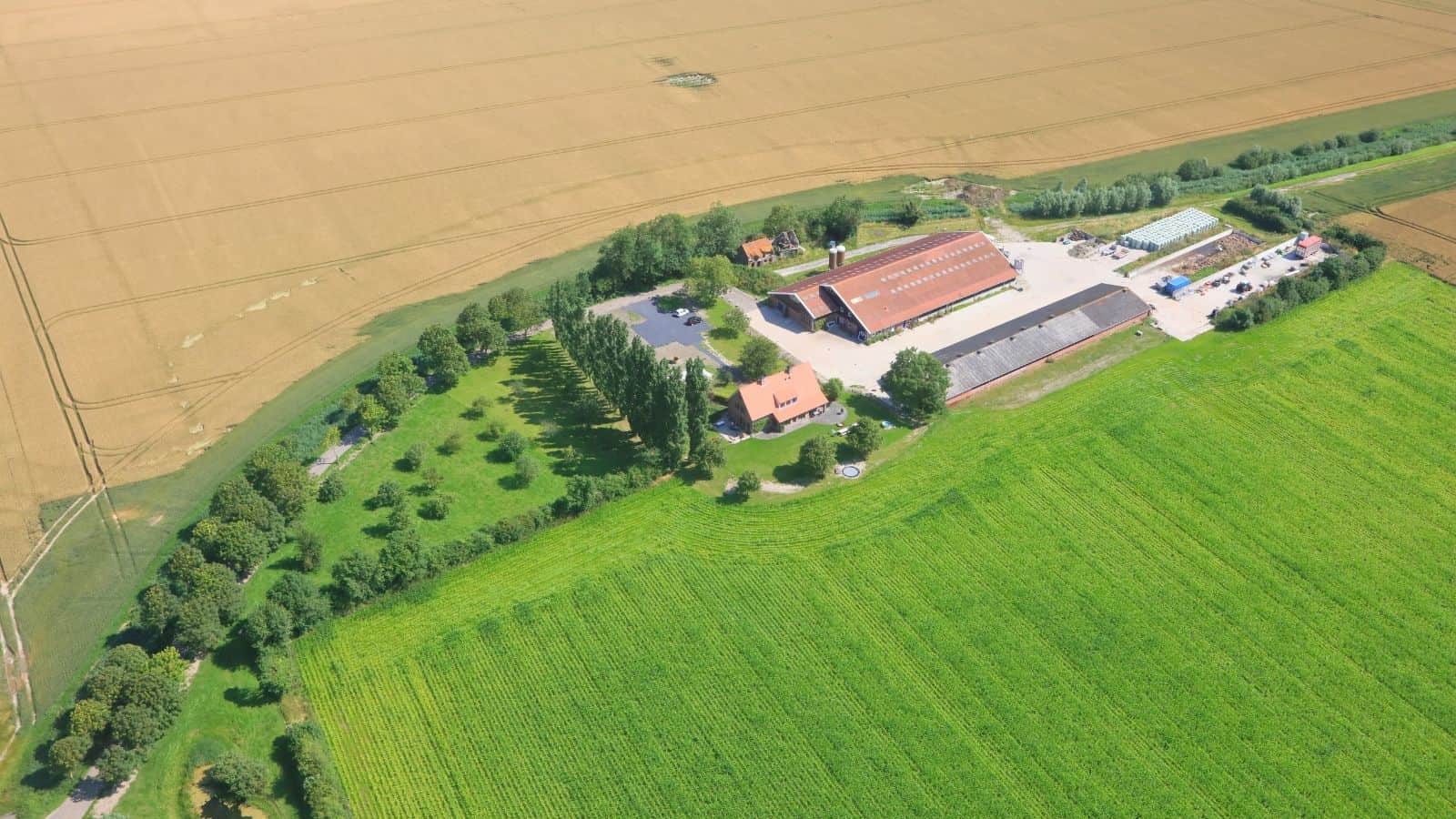 Lage auf einem Bauernhof